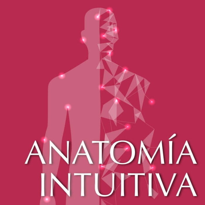 Curso Anatomía Intuitiva de ThetaHealing