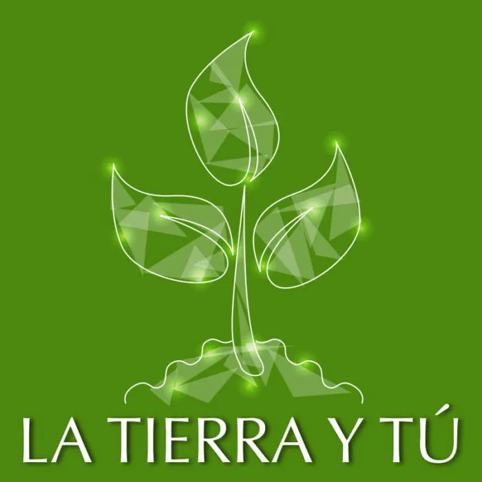 Curso La Tierra y Tú de ThetaHealing®