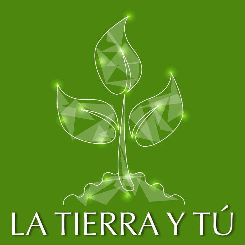 La Tierra y Tú de ThetaHealing® Curso La Tierra y Tú de ThetaHealing®