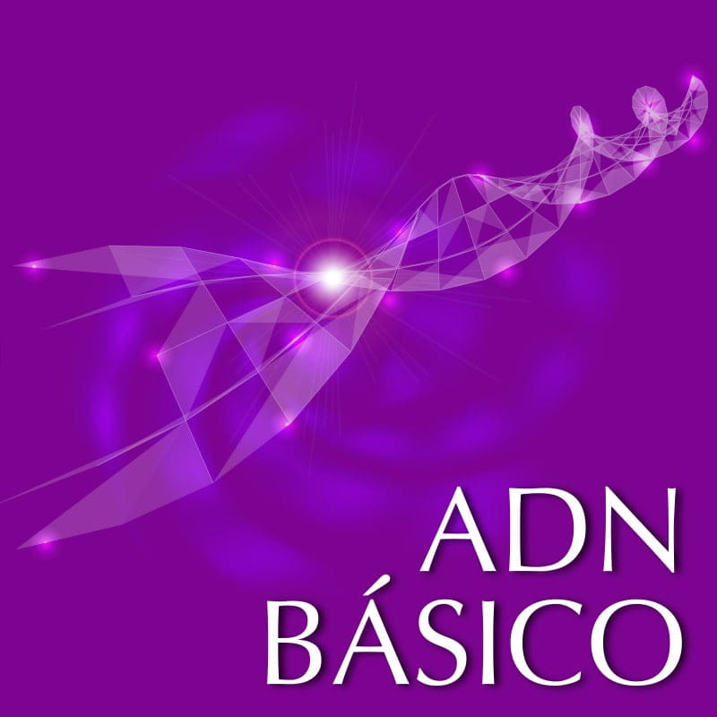 Curso ADN Básico de ThetaHealing® Curso ADN Básico de ThetaHealing con Erwin Jiménez